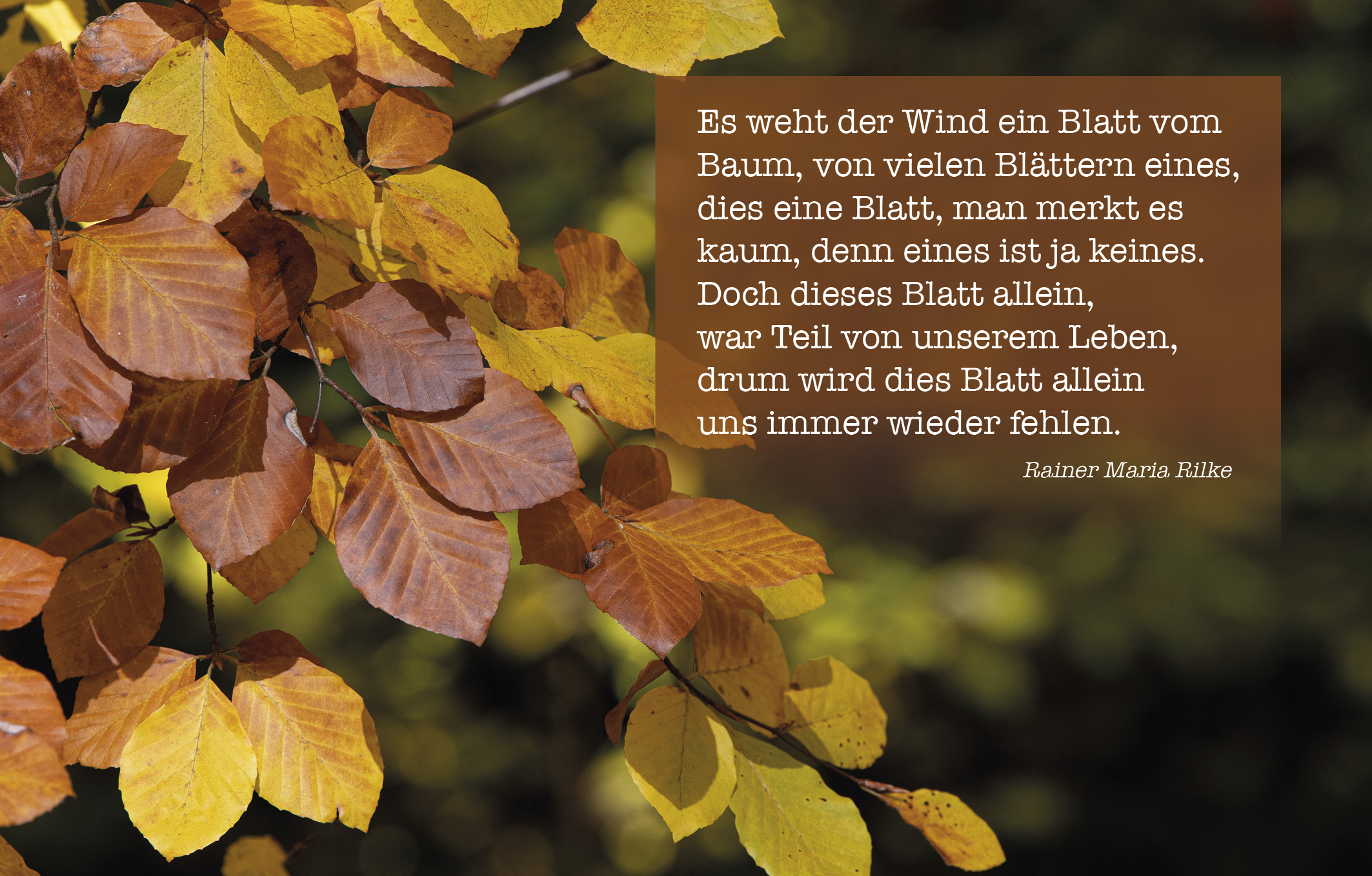 Sujet 10: Herbst