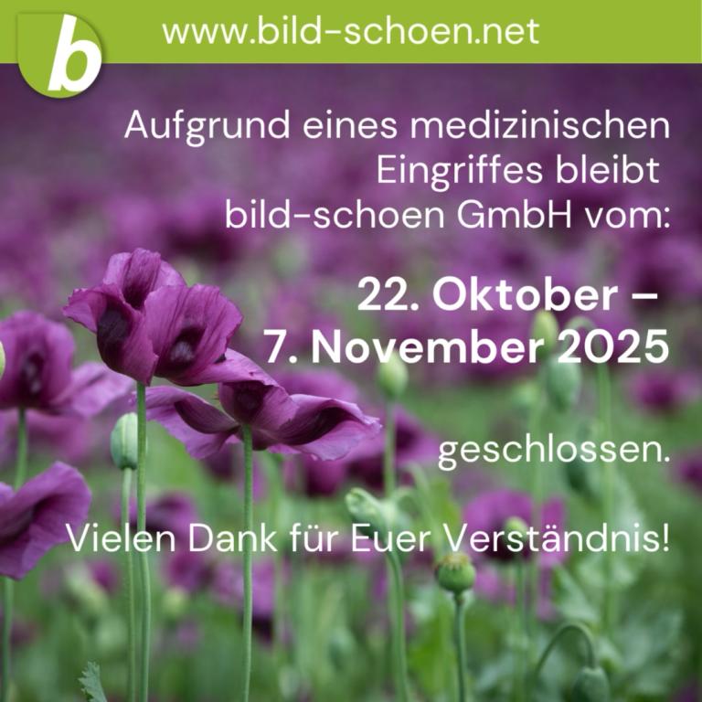 Abwesenheit_Herbst_2025.jpeg